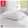 Image 1 : Lot of 2 Queen Size Quilted Pillow