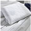 Image 1 : Lot of 2 Standard Size La-Z-Boy Pillow with Mesh Sides