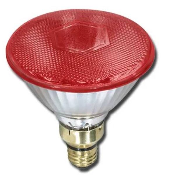 Lot of 12 Canarmna Heat Lamp Light Bulbs, BHLPAR38R150W, 150W