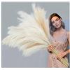 Image 1 : Ouddy Decorative Faux Pampas Grass Mixed Beige,