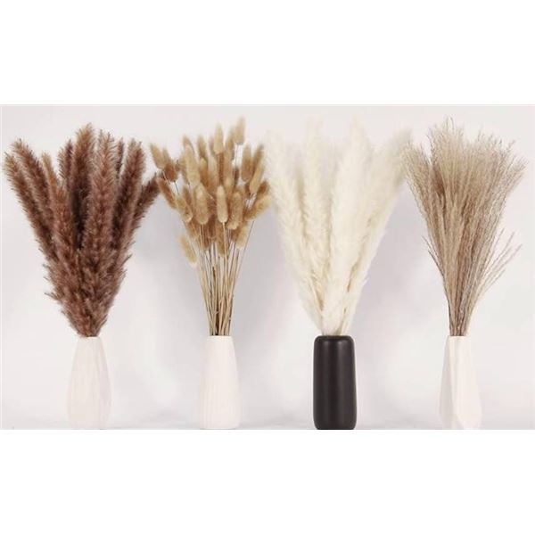 Pack of Dried Pampas Grass Stems **May Vary From StockPhoto**