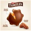 Image 1 : Nestle Turtles Classic Chocolate 800g