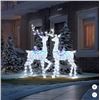 Image 1 : 2 Deer with Twinkle Lights