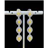 Image 1 : Yellow Oval Blossom Drop Earrings