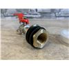 Image 3 : Brass Rain Barrel Spigot