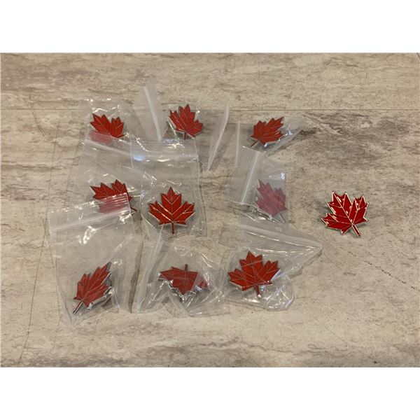 10 Pack Canada Pins