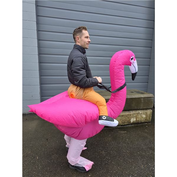 Blow Up - Little Man Riding A Flamingo Costume - Large