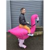 Image 1 : Blow Up - Little Man Riding A Flamingo Costume - Large
