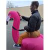 Image 2 : Blow Up - Little Man Riding A Flamingo Costume - Large