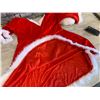 Image 5 : Womens Sexy Santa Outfit