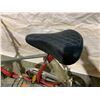 Image 12 : Hikingar Vintage Folding Bike