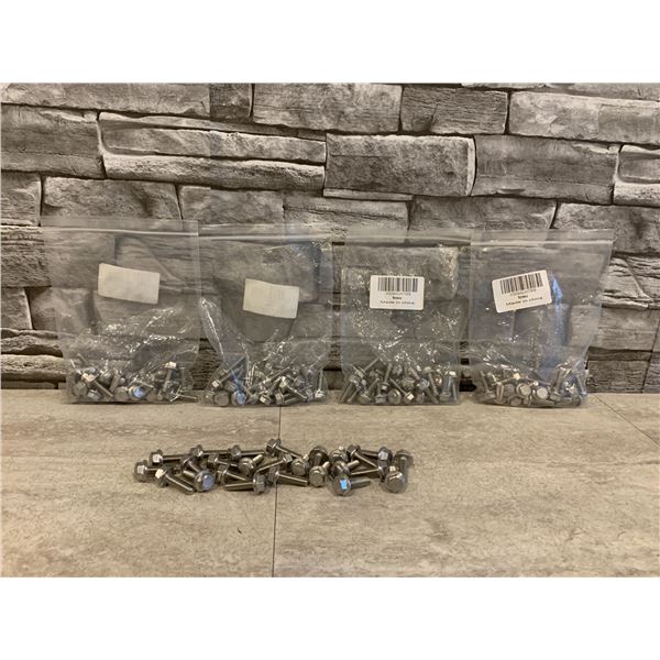 Bag of Mixed Hex Bolts