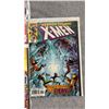 Image 6 : (25) MARVEL X-MEN COMIC BOOKS