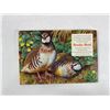 Image 3 : Brooke Bond “Wild Birds in Britain” – Complete Picture Card Album