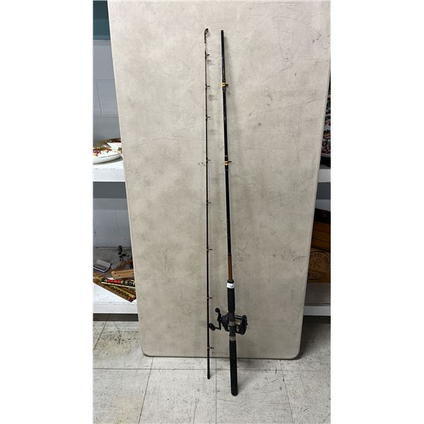 SHAKESPEARE UGLY STIK FISHING ROD WITH DAIWA SEALINE SLI75H REEL