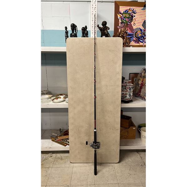 DAIWA ELIMINATOR FISHING ROD WITH DAIWA SEALINE 450H REEL