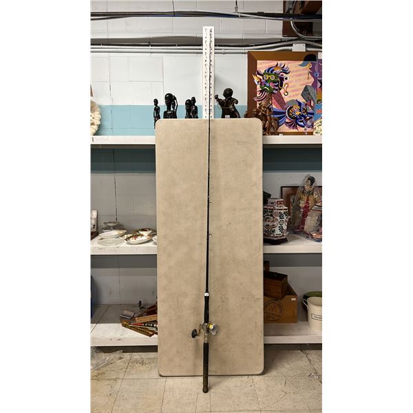 SHIMANO TEREZ FISHING ROD WITH SHIMANO TALICA 16 REEL