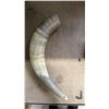 Image 2 : ANIMAL HORN APPROX 14"