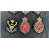 Image 4 : COLLECTION OF 1980S HUNTING RIFLE & SNIPER CHAMPION BADGES
