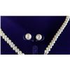 Image 4 : FRESHWATER PEARL BUTTERFLY BOW CHOKER WITH EARRINGS & RING