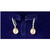 Image 4 : FRESHWATER PEARL NECKLACE, EARRINGS, BRACELET & RING
