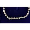 Image 2 : FRESHWATER PEARL NECKLACE, EARRINGS & BRACLET