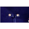 Image 3 : FRESHWATER PEARL NECKLACE, EARRINGS & BRACLET