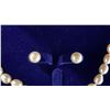 Image 3 : FRESHWATER PEARL NECKLACE, EARRINGS & BRACLET