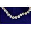Image 2 : FRESHWATER PEARL NECKLACE, EARRINGS & BRACLET