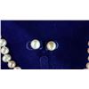 Image 3 : FRESHWATER PEARL NECKLACE, EARRINGS & BRACLET