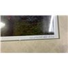 Image 9 : (4) ASSORTED FRAMED PRINTS