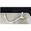 Image 1 : INUIT BONE CARVING