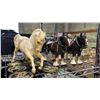 Image 4 : ASSORTED COLLECTIBLES INCLUDING; MELBA WARE HORSES, CAST IRON TOY CARS, COASTERS & MORE