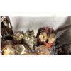 Image 4 : ASSORTED OWL DECOR & FIGURES