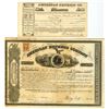 Image 1 : NY. American Express Co., 1865, I/U Stock Certificate.