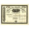 Image 1 : CO. Lincoln Mining Company, 1881 I/U Stock Certificate