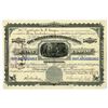 Image 1 : CO. Silver Cord Combination Mining Company of Colorado, 1880 I/U Stock Certificate.