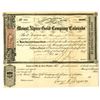 Image 1 : CO. Mount Alpine Gold Co. of Colorado, 1865, I/U Stock Certificate.
