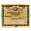 Image 1 : TX. Gainesville Electric Railway & Light Co., ca.1900-1910 Specimen Stock Certificate