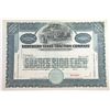 Image 1 : TX. Northern Texas Traction Co., ca.1900-1920 Specimen Stock Certificate