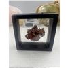 Image 5 : 2 INCH  HIGH GRADE VANADINITE SPECIMEN