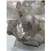 Image 4 : 4.4 X 2.8 INCH  LUMERIAN SMOKY QUARTZ