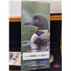Image 6 : RCM Canada 2004 $1 Limited-Edition Stamp & Coin Set : The Elusive Loon (S/N#20850 of 25111)