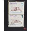 Image 3 : RCM Canada 2005 $5 Limited-Edition Stamp & Fine Silver Coin Set : The Atlantic Walrus and Calf (S/N#