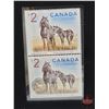 Image 3 : RCM Canada 2006 $5 Limited-Edition Stamp & Fine Silver Coin Set : Sable Island Horse and Foal (S/N#1
