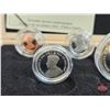 Image 11 : RCM Canada 2010 Limited Edition Proof Set : Spirit of a Nation