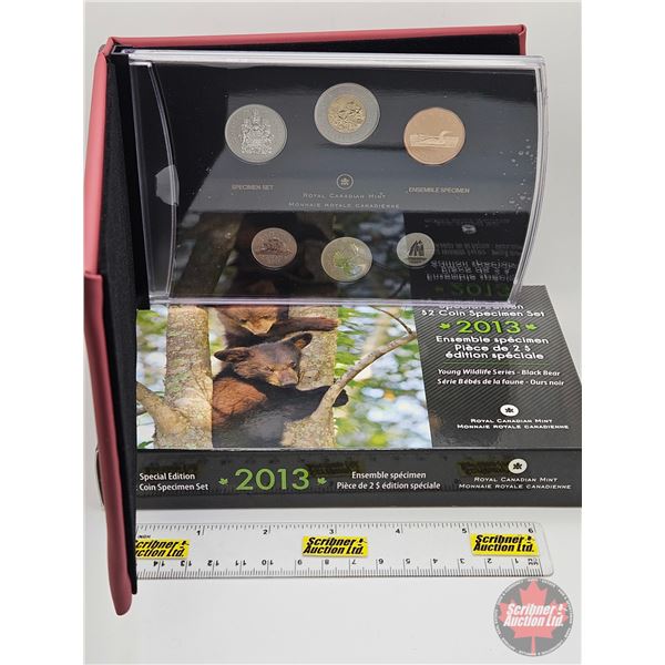 RCM Canada 2013 Specimen Set : Special Edition : Young Wildlife Series : Black Bear