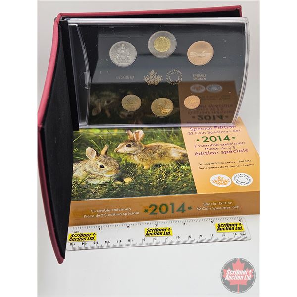 RCM Canada 2014 Specimen Set : Special Edition : Young Wildlife Series : Rabbits