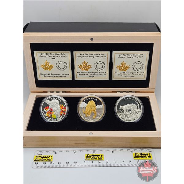 RCM Canada 2014 : $20 Fine Silver Three-Coin Set  ~ Cougar : Perched on a Maple Tree (COA #0957) ~ C
