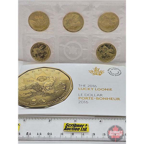 RCM Canada 2016 : $1 Circulation Coin : Lucky Loonie Five Coin Pack